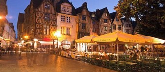 Tiny house sous un chêne