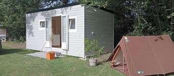 Tiny house under an oak tree