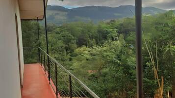 Basic Apartment, Balcony, Mountain View | Terrace/patio