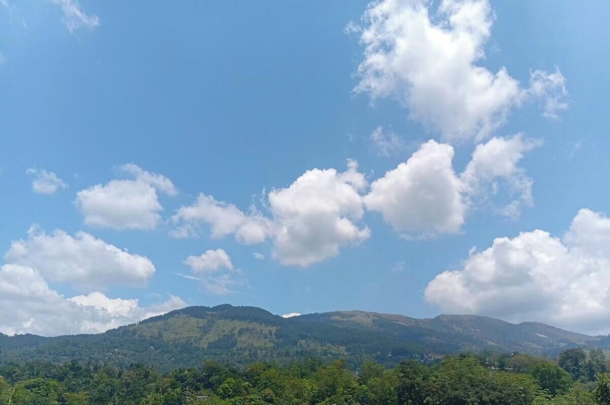 外觀