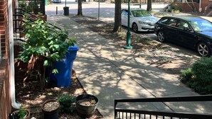 A residential street with a sidewalk, parked cars, and trees. - Cozy 2-bedroom Townhome with free parking in charming Downtown Chattanooga (Chattanooga)