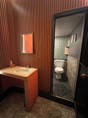 Shower, towels, toilet paper