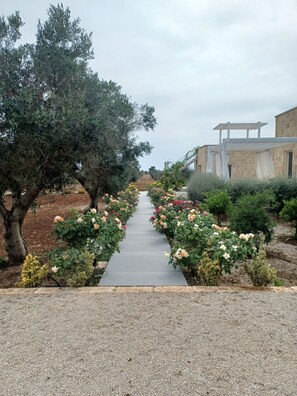 Jardines del alojamiento