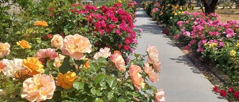 Área da propriedade