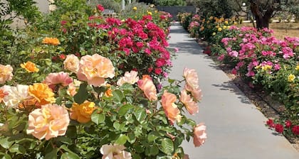 Fabulous house terrace and private pool relax in the green only 3km from the Ionian sea