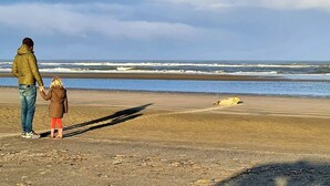 A beach with a man and a child holding hands, facing the ocean. - Charming 3-bedroom house in enchanting Ternaard with WiFi, AC "Us Eigen Honk" (Ternaard)