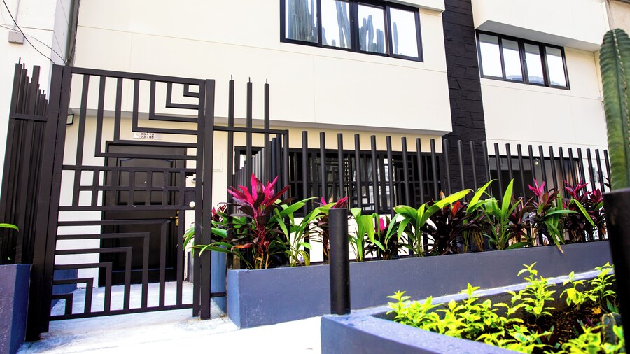 kasa Cactus Laureles