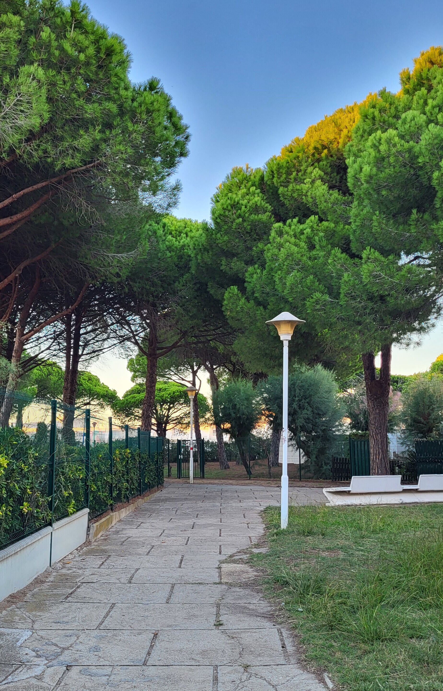 Àrea exterior de l'allotjament