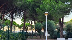 A stone pathway lined with trees and a lamp post.