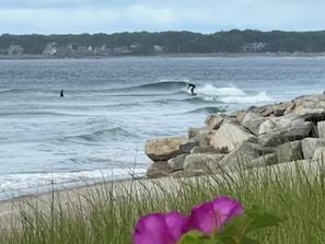 Beach nearby - 3-min walk to beach, modern 3BR, dog-friendly cottage in charming Biddeford Pool (Biddeford)