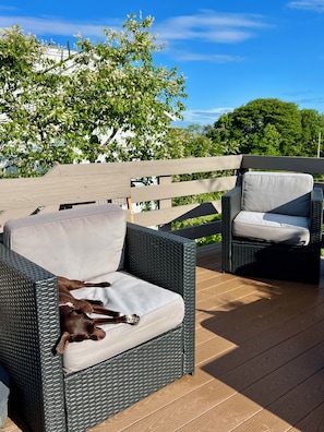 Property grounds - 3-min walk to beach, modern 3BR, dog-friendly cottage in charming Biddeford Pool (Biddeford)