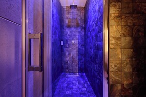 高级房, 1 张大床, 无烟房 | 浴室淋浴