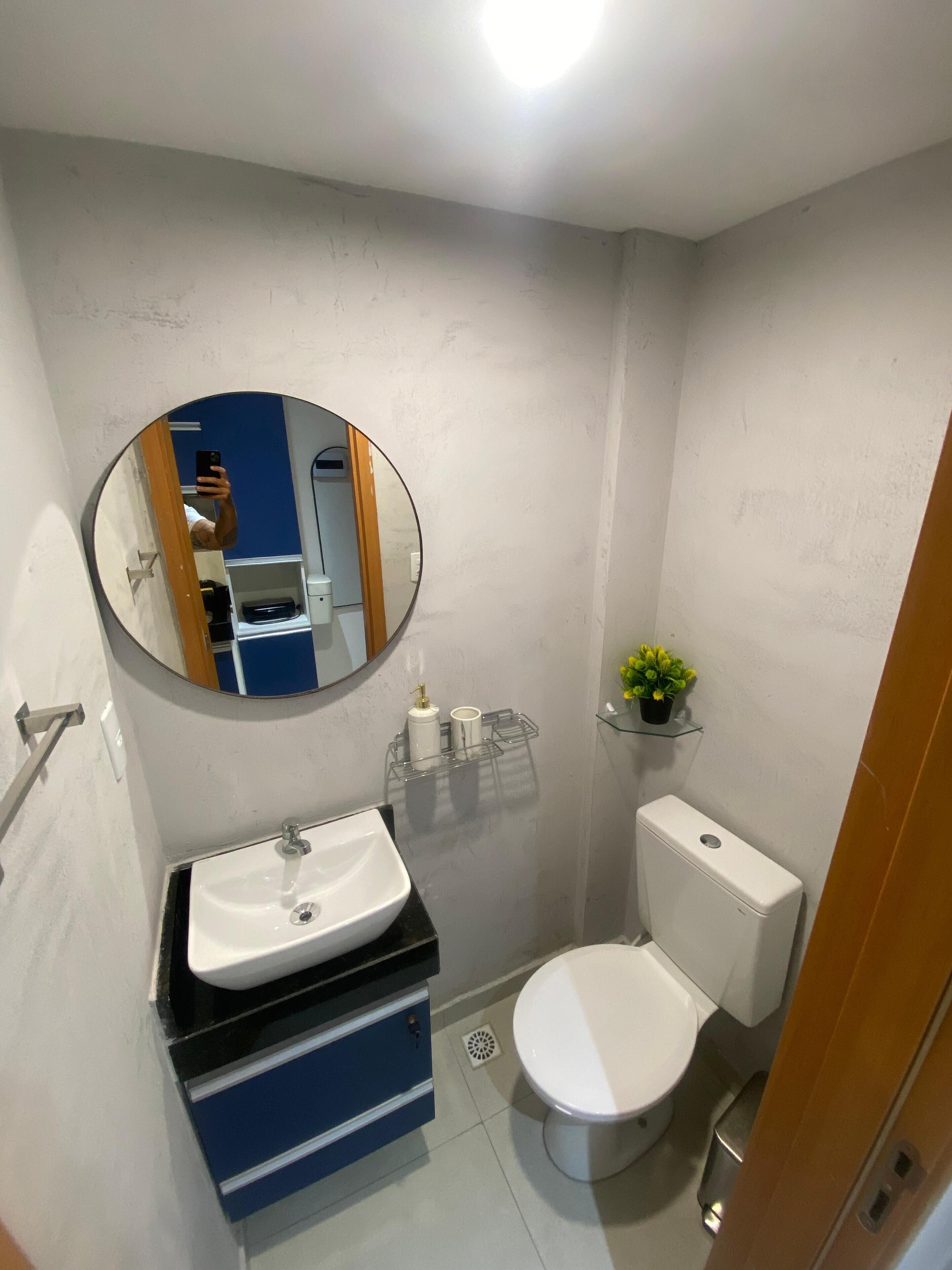 A bathroom with a round mirror, a sink, a toilet, and a small shelf with a plant.
