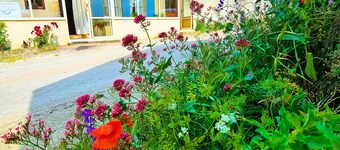Room rental Bienvenue chez Mémé chambre de Lucette