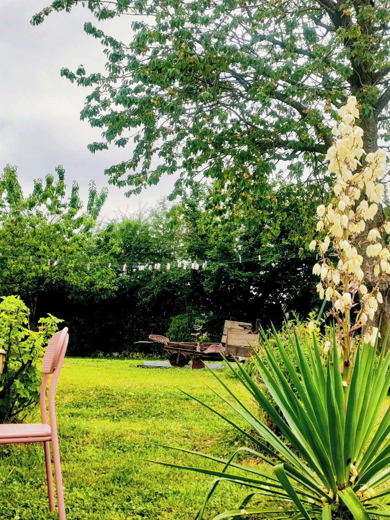 Een tuin met een stoel, een boom met witte bloemen en een gazon.