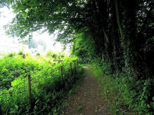 Bed and breakfast : Birdsong at La Source de nos Racines