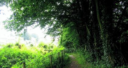 Chambre d'hĂŽtes : Le chant des oiseaux Ă La Source de nos Racines