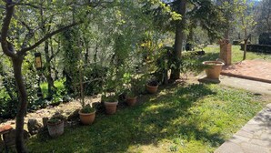 Un jardin agrémenté de plantes en pot et doté d’un chemin bordé de briques.