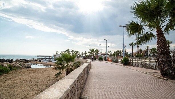 Uma passarela pavimentada ao lado de uma praia, com palmeiras e um muro de pedra.