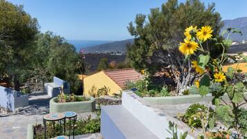 Terras
