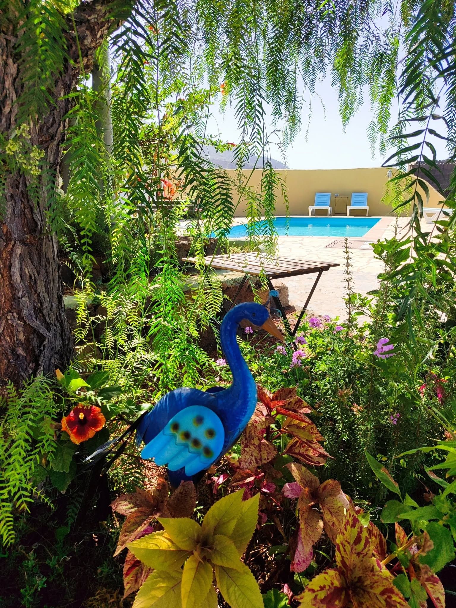 Ein Poolbereich mit Liegestühlen und einer dekorativen Vogel-Skulptur inmitten üppiger Bepflanzung.