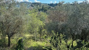 Un paisaje con árboles y una colina distante con edificios.