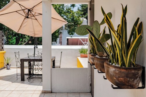 Luxurious and Spacious home in the heart of Roma Norte