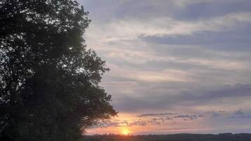 Un sentier de terre traverse un champ herbeux, avec un arbre sur la gauche et un coucher de soleil en arrière-plan.