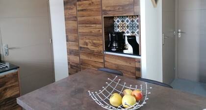 New house with garden near Dinard, 300 m from the banks of the Rance river