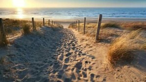 En sti langs en sandstrand med træpæle, der fører hen til havet.