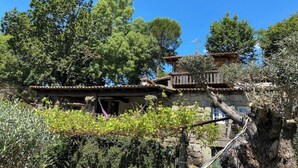 Ein rustikales Steinhaus mit Ziegeldach, umgeben von üppiger Vegetation und Bäumen.