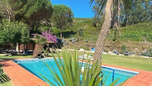 Ein rechteckiger Pool mit einer gefliesten Umrandung, umgeben von einer Rasenfläche und Bäumen.