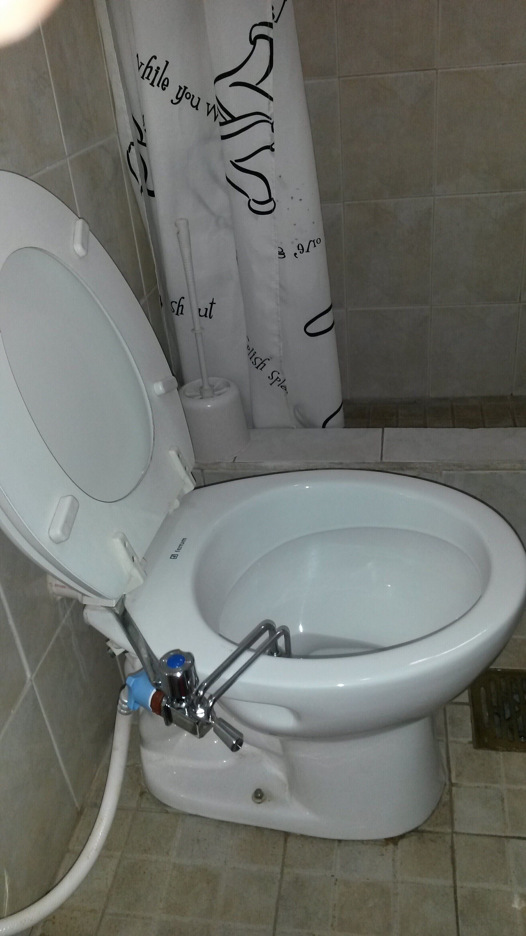 Des toilettes équipées d’un siège-bidet, d’un porte-rouleau de papier toilette et d’un rideau de douche orné de motifs ou d’inscriptions.