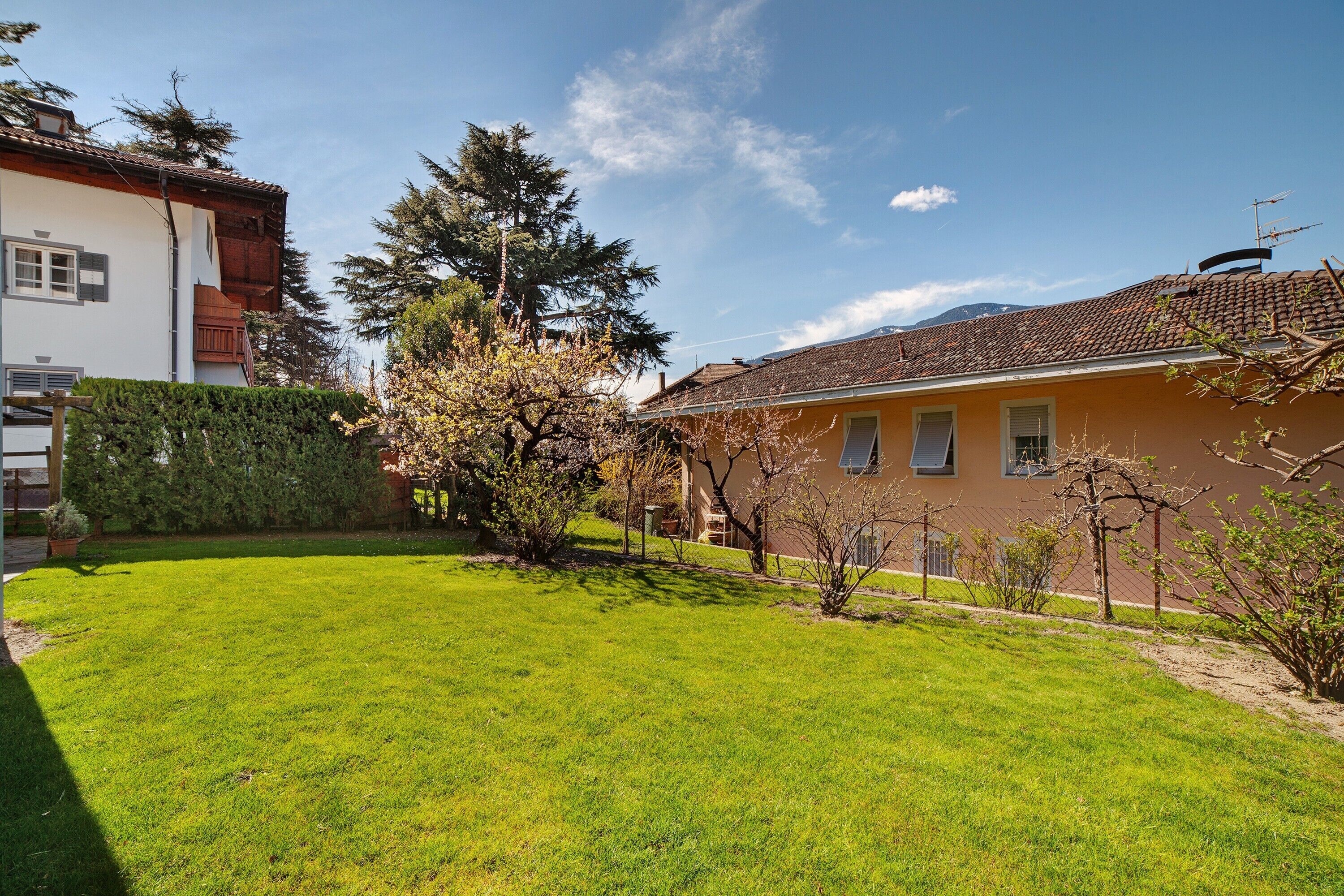 A well-maintained lawn, a large tree, and a building with a tiled roof.