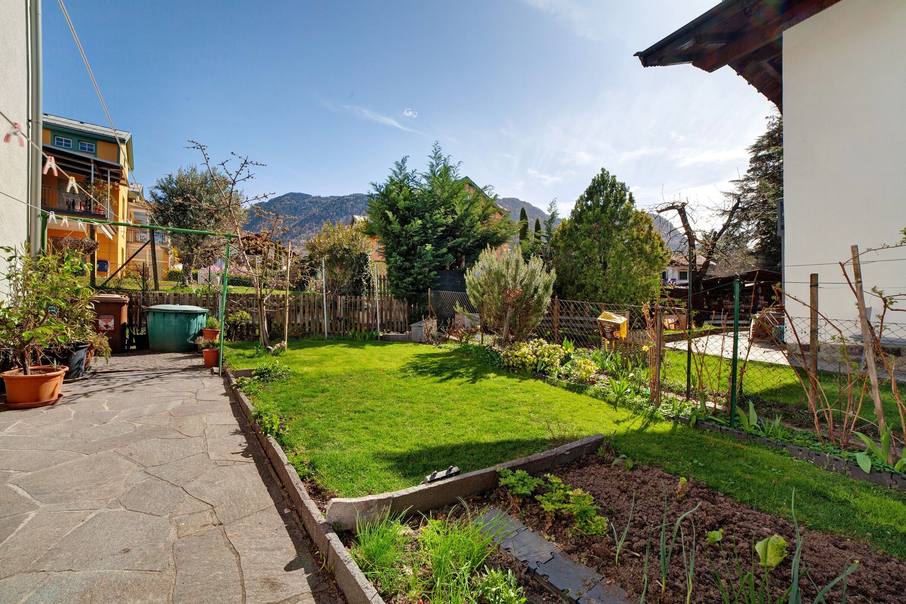 A residential backyard with a paved pathway, a grassy lawn, and a variety of potted plants.