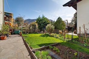 Quintal residencial com um caminho pavimentado, gramado e diversos vasos de plantas.