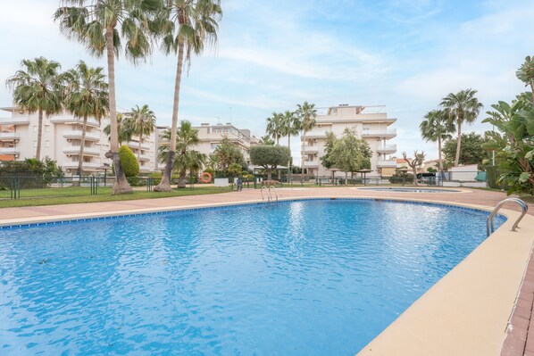 A swimming pool with a clear blue water, surrounded by palm trees and a fence.