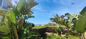 Un jardín con plataneros altos y un cielo azul despejado.