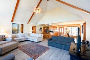 Smart TV, fireplace, books
