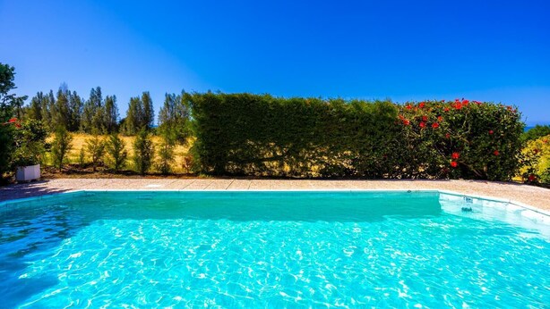 A clear blue swimming pool surrounded by lush greenery and trees.