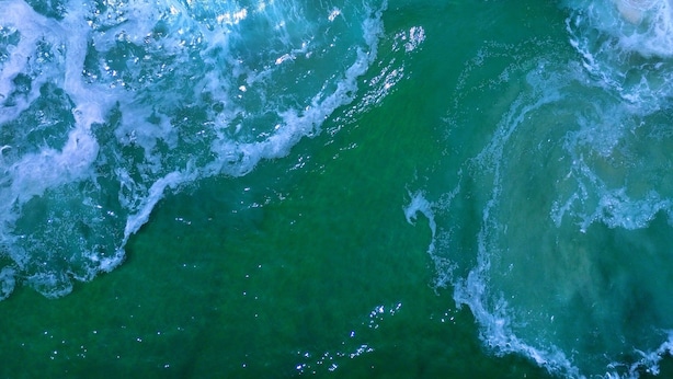 Unclassified image, 1 of 19, button - Apartment in front of the Recreio Sea in Rio de Janeiro (RIO DE JANEIRO)