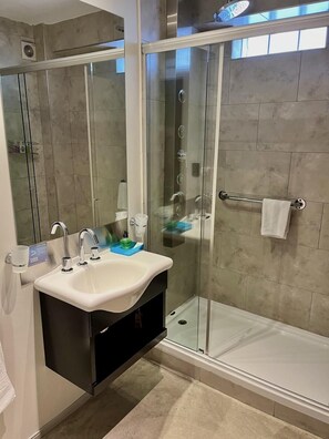 Máy sấy tóc, khăn tắm, xà phòng, dầu gội 