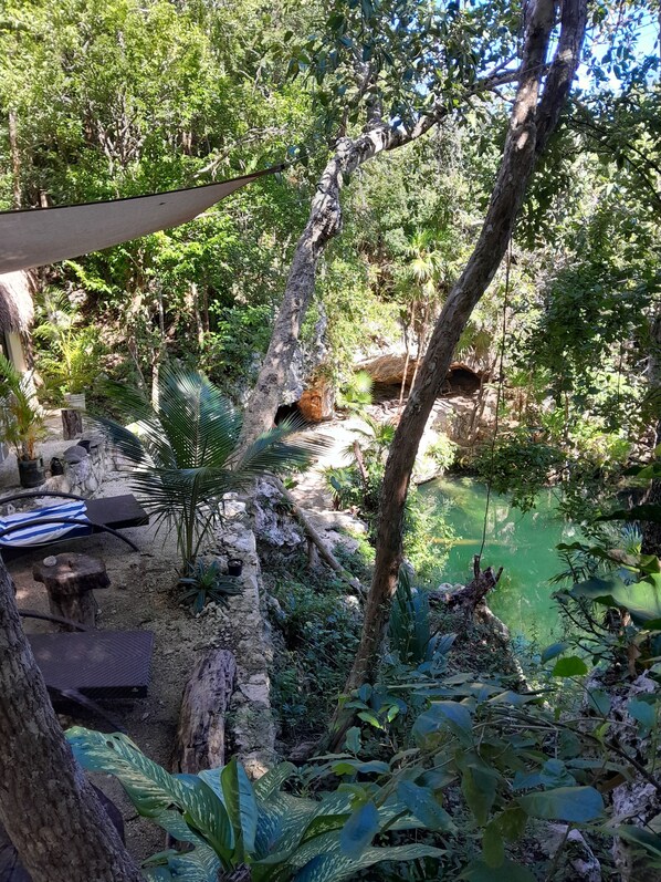 A lush outdoor area with a stone wall, a small pond, and various tropical plants.
