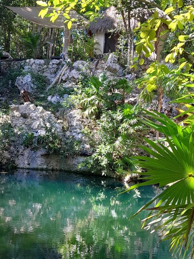 Jungle cabin with cenote