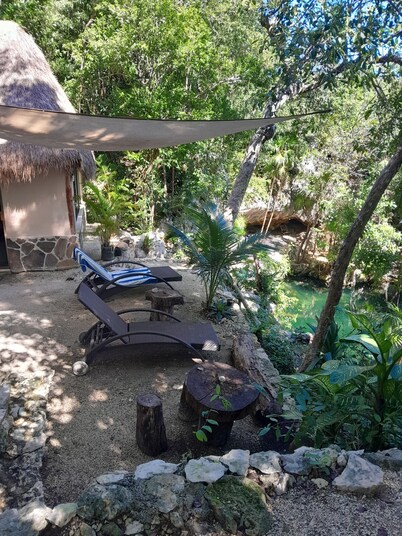 Jungle cabin with cenote