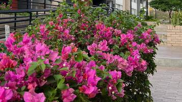 Detall de l'exterior