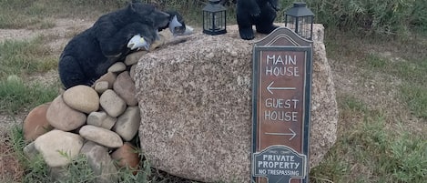 Una estatua de oso con un cartel que indica las direcciones 'MAIN HOUSE' y 'GUEST HOUSE', rodeada de rocas y vegetación.