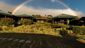 A building with a green roof and a covered outdoor area, surrounded by grass and shrubs. - Hotel Trópico Monteverde (Monteverde)
