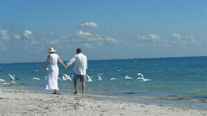 Ein Paar spaziert am Strand, Händchen haltend, mit Möwen und dem Ozean im Hintergrund.