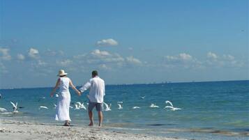 Plage, chaises longues